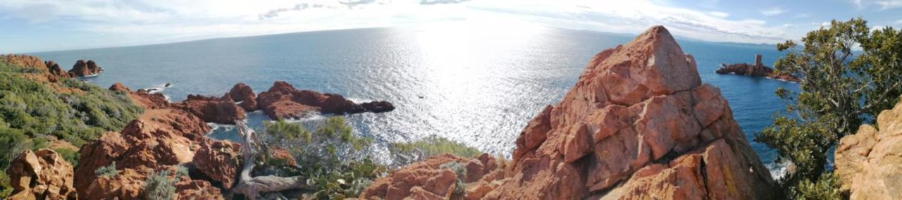 Studio St Raphael Var Cote D Azur Saint-Raphaël Dış mekan fotoğraf